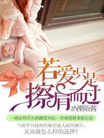 若爱只是擦肩而过封面
