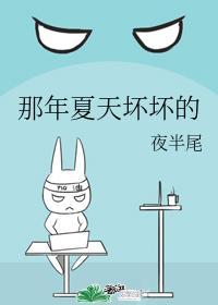 那年夏天坏坏的封面