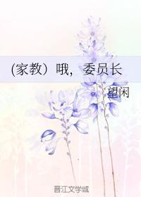 (家教）哦，委员长封面