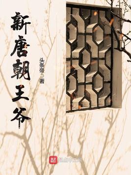 新唐朝王爷封面