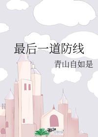 最后一道防线封面