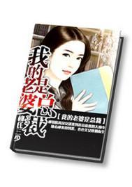 我的老婆是总裁封面