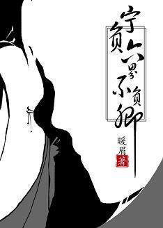 宁负六界不负卿封面