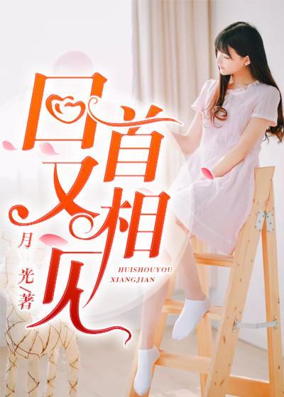 回首又相见封面