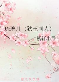 琉璃月封面