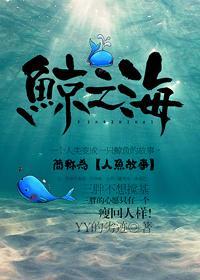 鲸之海封面