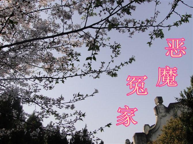 恶魔冤家封面