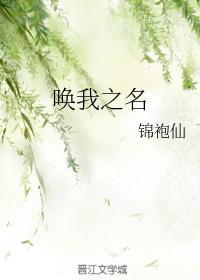 唤我之名封面