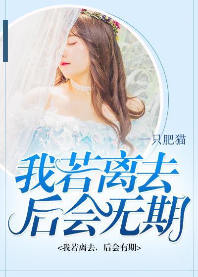 我若离去，后会无期封面