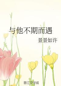 与他不期而遇封面