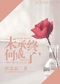 未承终，何成了封面