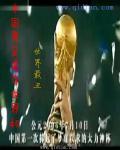 中国男足勇夺世界杯封面