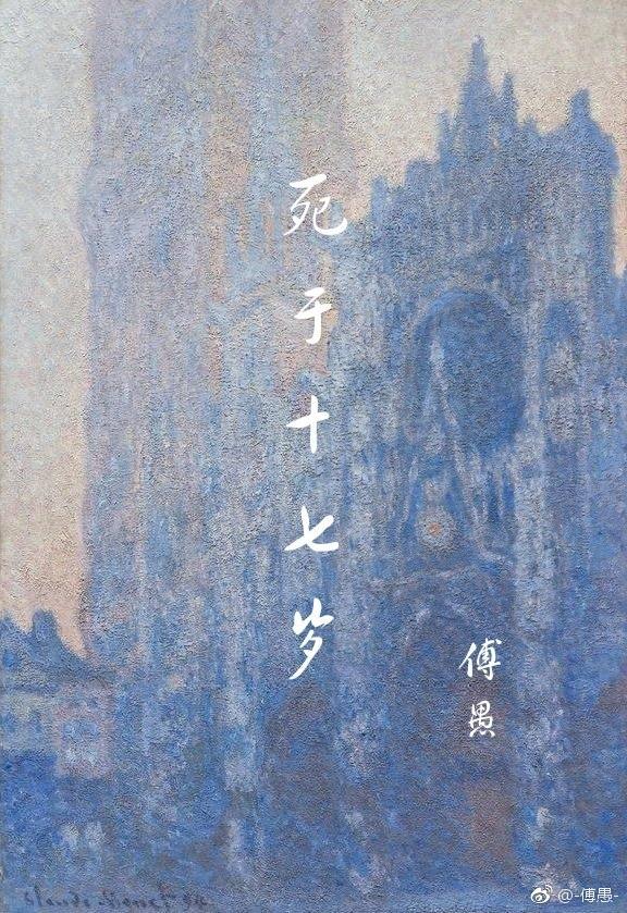 死于十七岁封面