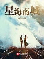 星海南城封面