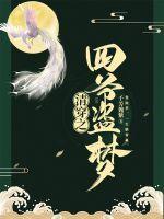 清穿之四爷盗梦封面