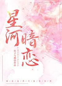 星河暗恋封面