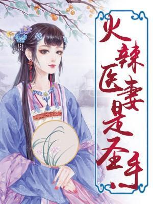 火辣医妻是圣手封面