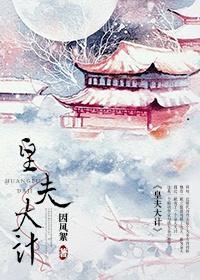 皇夫大计封面