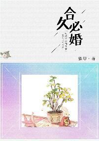 合久必婚封面