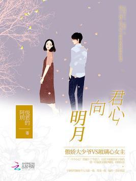 君心向明月封面