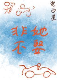 非她不娶封面