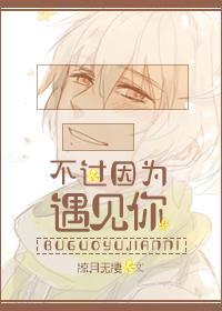不过因为遇见你封面