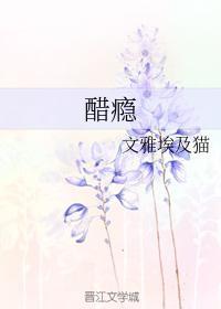 醋瘾封面