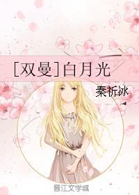 [双曼]白月光封面
