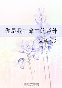 你是我生命中的意外封面