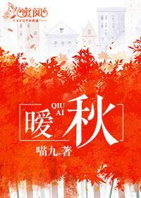 暧秋张天宇何亦秋封面