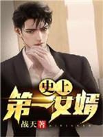 史上第一女婿封面