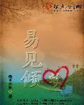 易见倾安封面