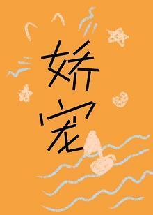 娇宠封面