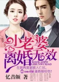 老婆离婚无效封面