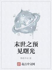 末世之预见曙光封面