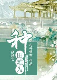 穿越之种田难为封面