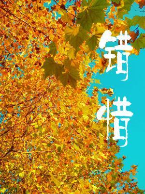 错惜封面