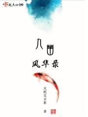 九幽风华录封面