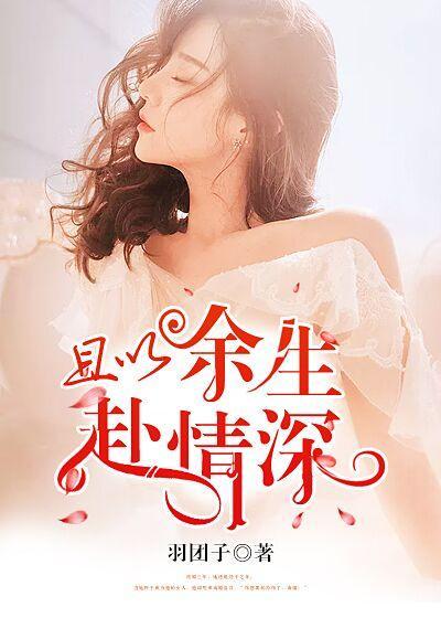 且以余生赴情深封面