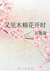 又见木棉花开时封面