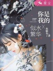 你是我的似水繁华苏阮辞陆景琛封面