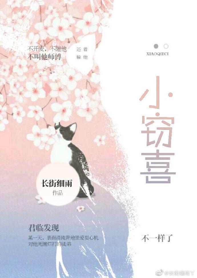 小窃喜封面