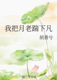 我把月老踹下凡封面