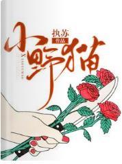 小野猫封面