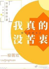 我真的没苦衷封面