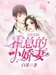 慕小橙顾玄澈封面