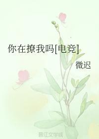 你在撩我吗[电竞]封面