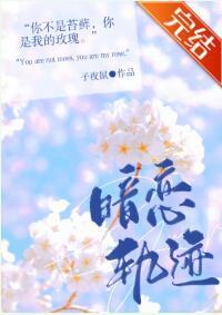 暗恋轨迹封面