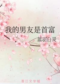 我的男友是首富封面