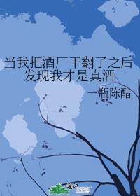 当我把酒厂干翻了之后发现我才是真酒封面
